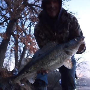 Meet your Posher, Jesse